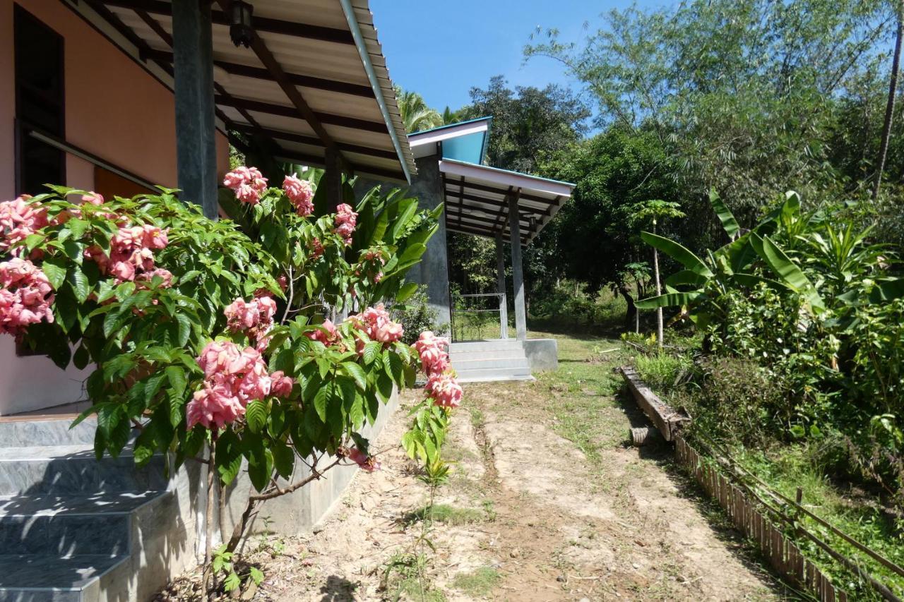 Chom Suan Homestay Ko Kut Екстер'єр фото