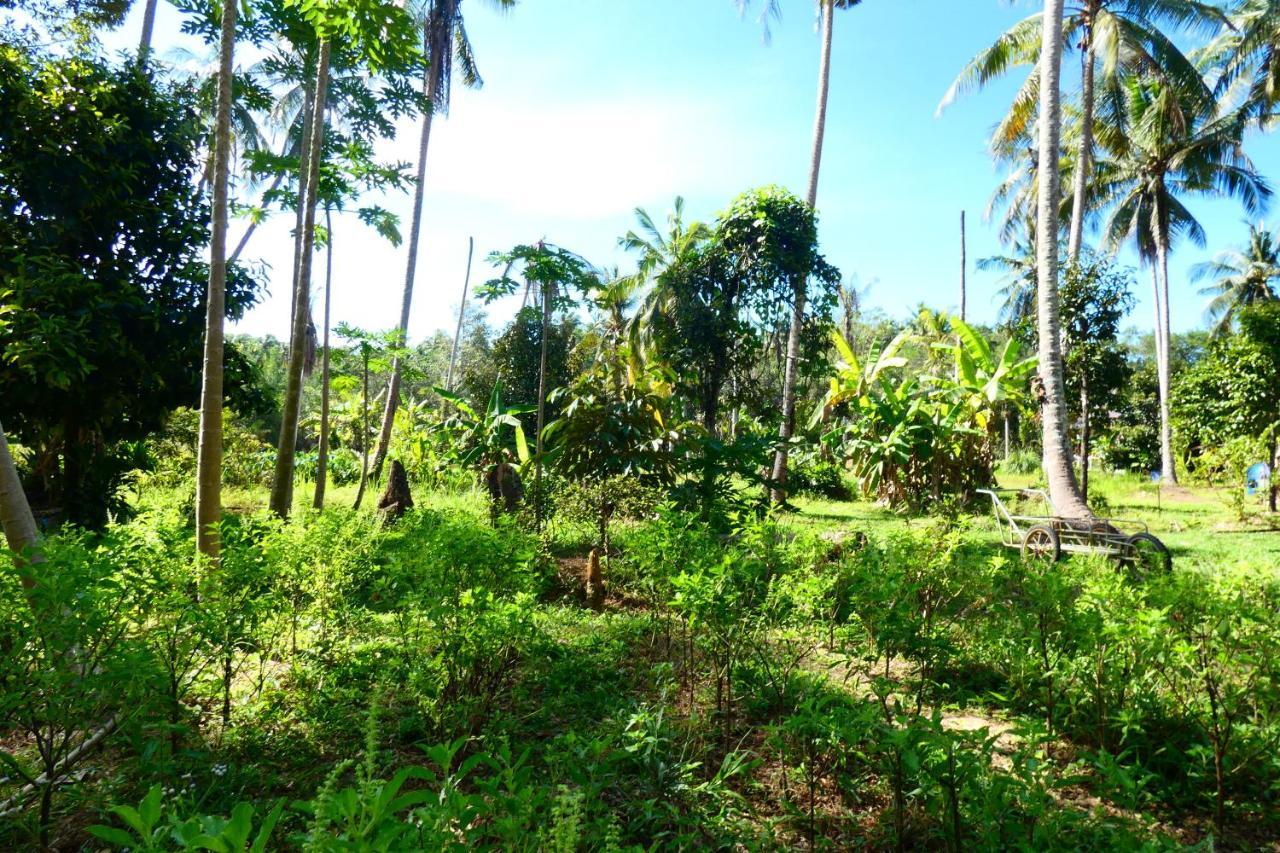Chom Suan Homestay Ko Kut Екстер'єр фото